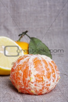 Citrus on canvas