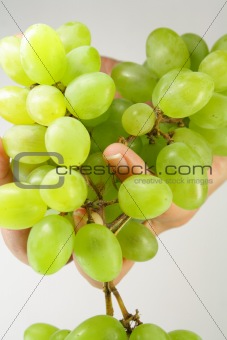 Grape in hand