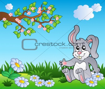 Bunny on meadow with daisies