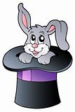 Cute bunny in wizard hat