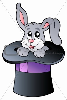 Cute bunny in wizard hat