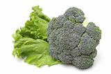 Broccoli and lettuce