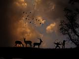 hunting antelope