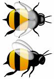 Bumble Bee Top and Side View Isolated on White