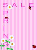 Spring Sale Sign with Daisies Flowers and Ladybugs