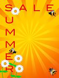 Summer Sale Sign with Daisies Flowers and Bumble Bees