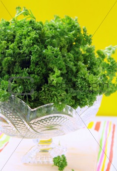 green, organic parsley in a white cup