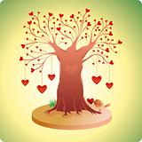 Old Love Tree