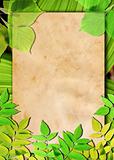 Old paper background with green leaves 