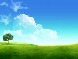 Meadow with green grass and blue sky with clouds and tree 
 