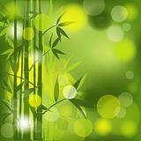Bamboo abstract background, vector