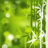 Bamboo abstract background, vector