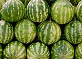 Ripe watermelons for sale at street market