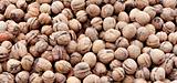 Walnuts for sale on a market stall