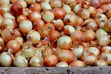 Small onions for sale at street market
