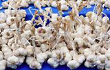 Bunches of tied up garlic on market stall