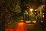 Colorful pre dawn gardens with pathway