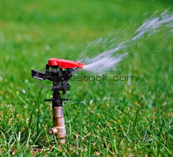 Garden lawn water sprinkler