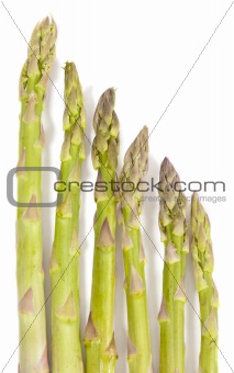 Hierarchy of Asparagus