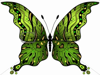 Green-gold butterfly