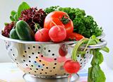 fresh vegetables, cucumber, radish, tomato and lettuce in a colander