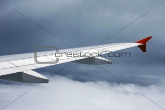 Wing of the plane