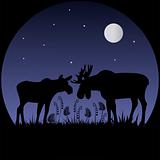 Two elks silhouettes in moonlight