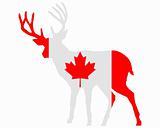 Canadian deer