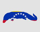 Caiman Venezuela