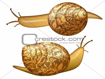 Garden Floral Snail Isolated on White Background