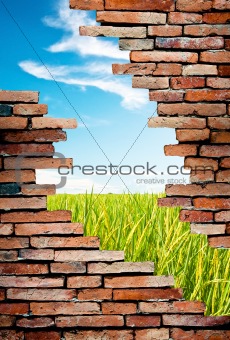 porous wall to see the rice field and blue sky