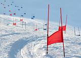 Ski gates with parallel slalom