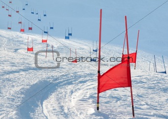Ski gates with parallel slalom