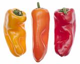 Three Colors of Vibrant Peppers