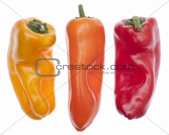 Three Colors of Vibrant Peppers
