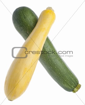Squash and Zucchini