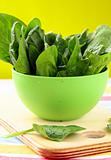 Fresh spinach in a green bowl on a cutting board