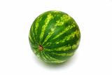  fresh water melon