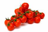 fresh red vine tomatoes