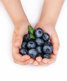 Girls hands holding ripe blueberries