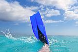Diving blue fin splashing in Caribbean surface