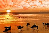 surfers walking on glorious sunset beach