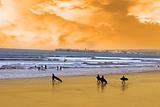 young surfers walking on sunset beach