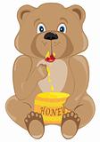 Baby Bear Eating Honey