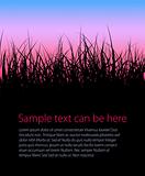 Vector grass background with place for your text