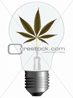 cannabis energy