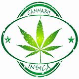cannabis stamp
