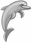 Gray dolphin