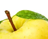 Fresh yellow apple with leaf. Isolated on white background.
