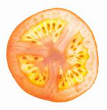 Juicy Tomato Slice Detail
